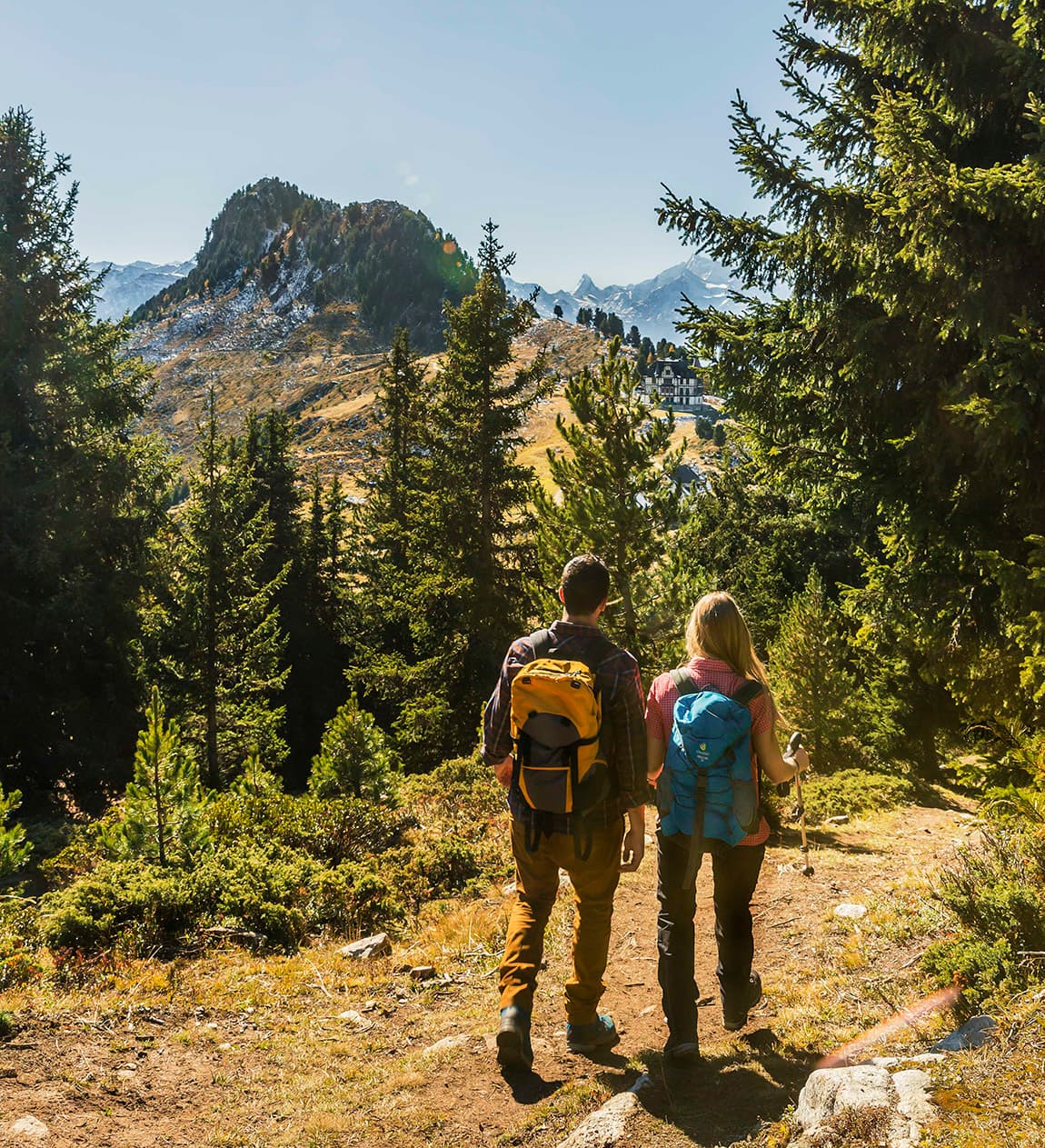 Foraging in montagna – Due giorni nella foresta boreale e nei pascoli alpini